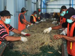 Tingkatkan Tata Kelola, PLN Sukses Turunkan Tingkat Risiko ESG