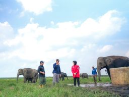 PLN Ikut Aktif Lestarikan Gajah Sumatra, Sediakan Kendaraan Patroli Hewan