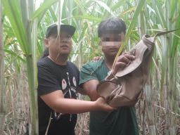 Polres Mojokerto Kota Berhasil Amankan Seorang Remaja Terduga Jambret di Dawarblandong