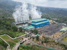 PLN Gandeng PGE Bentuk Konsorsium Kembangkan Pembangkit Listrik Panas Bumi