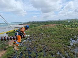 Wujud Kontribusi ke Negara, PLN Setor Rp65,59 Triliun Lewat Dividen, Pajak, dan PNBP, Listrik untuk Rakyat