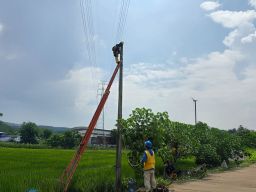 Jelang HUT RI ke 80, PLN Operasikan Pompanisasi Persawahan dan Akses Air Bersih