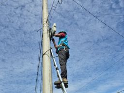 Perkuat Infrastruktur Digital, PLN Icon Plus Lakukan Penertiban Kabel dan Aset Kelistrikan di Kabupaten Gresik