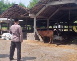Satgas Pangan Polda Jatim Mendukung Pemprov Jatim dalam Penanganan PMK pada Hewan Ternak