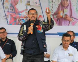 Turut Hadirkan Rumah BUMN, PLN Dorong Peningkatan Ekonomi Daerah Melalui Produk UMKM