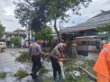 Sigap, Polisi Tangani Pohon Tumbang di Jagalan, Lalulintas Trenggalek & Ponorogo Kembali Normal