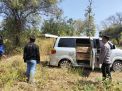 Polisi Berhasil Ungkap Kasus Ilegal Loging di Taman Nasional Baluran Situbondo