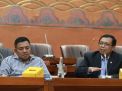 Komisi VI DPR RI Dukung Penuh Upaya PLN Jalankan Transisi Energi