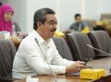 Komisi VI DPR RI Dukung Usulan PMN PLN untuk Program Listrik Desa