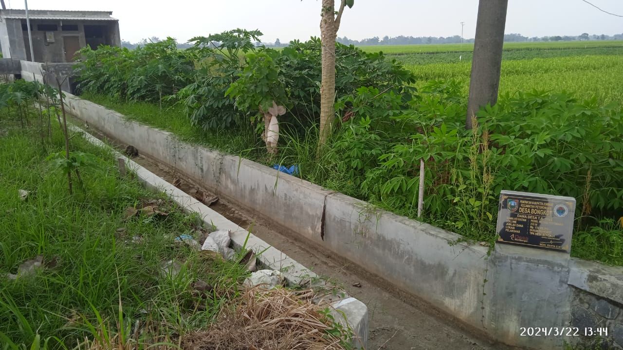 Infrastruktur Pembangunan Desa Bongkot kecamatan Peterongan Dorong Produktivitas Pertanian