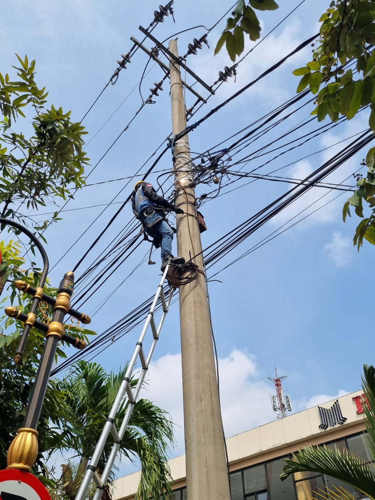 Kolaborasi PLN Icon Plus dan ULP Madiun Kota Tertibkan Kabel Fiber Optik untuk Keandalan Jaringan dan Keselamatan Publik