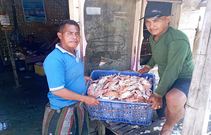 Harga Rajungan Anjlok, Nelayan Sarang Mengeluh