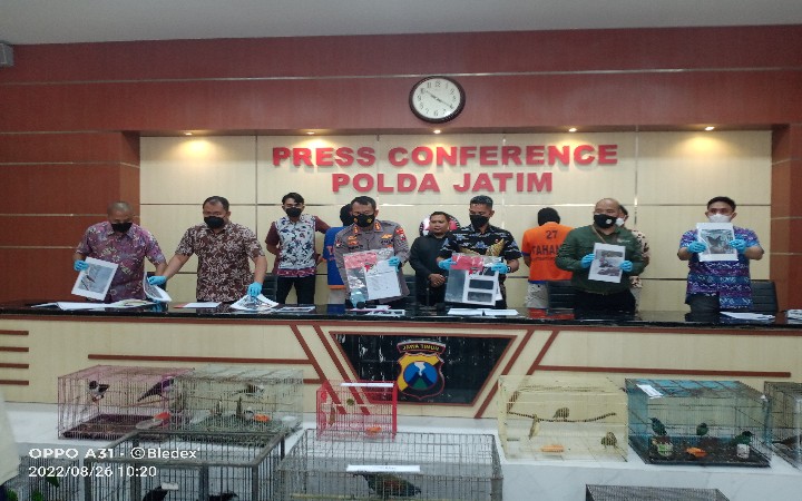 Polda Jatim Bongkar Praktik Jual Beli Satwa Dilindungi dan Amankan 304 Satwa